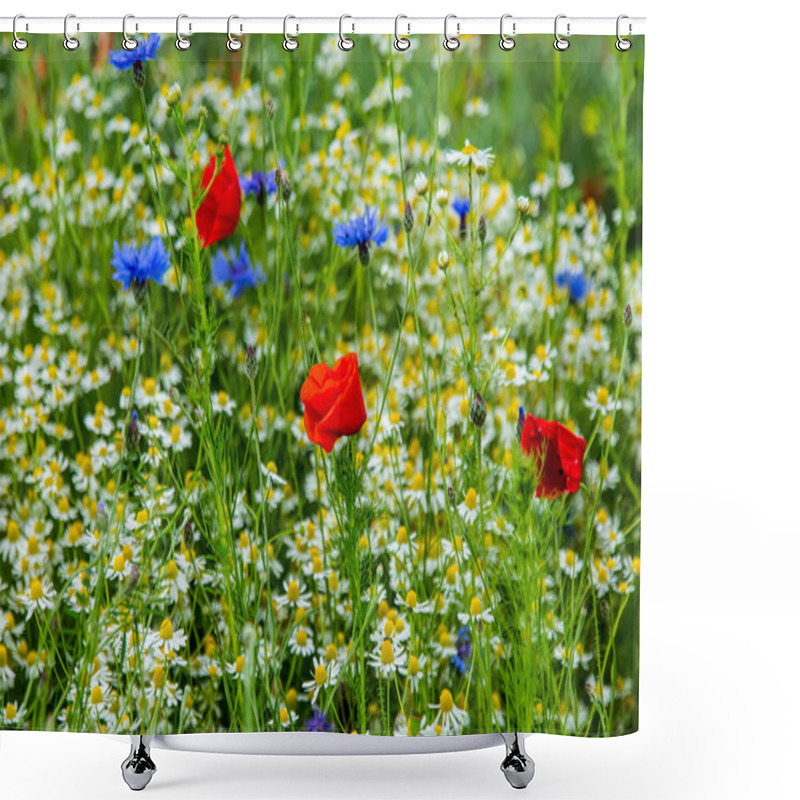 Personality  Closeup Look At Daisies And Poppies In Summer Meadow Shower Curtains