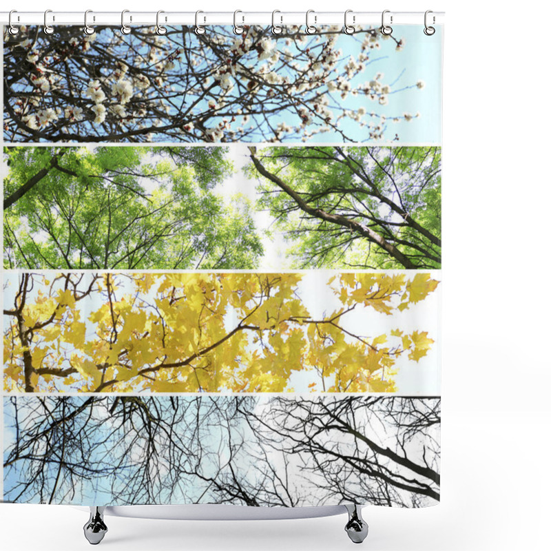 Personality  Four Seasons Collage: Several Photos Of Beautiful Trees At Different Time Of The Year - Winter Spring, Summer, Autumn Shower Curtains