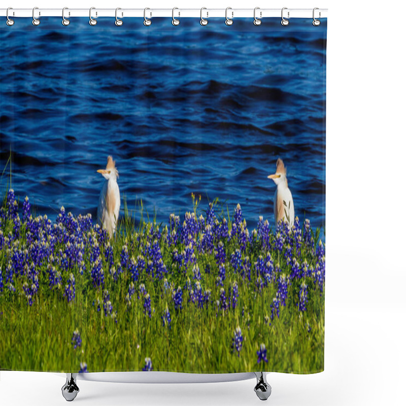 Personality  Egrets In Texas Bluebonnets At Lake Travis At Muleshoe Bend In T Shower Curtains