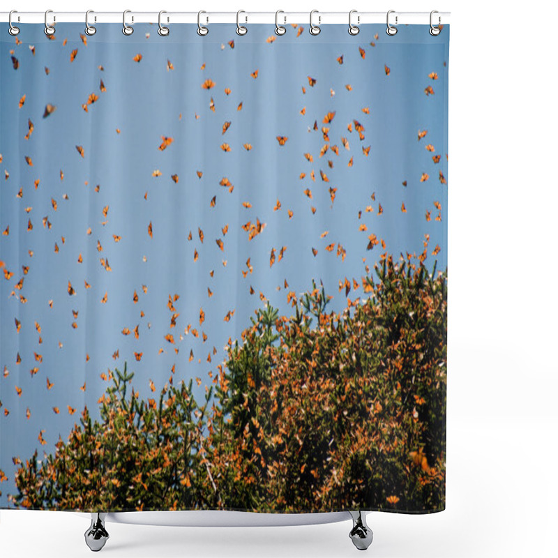 Personality  Monarch Butterfly Biosphere Reserve, Michoacan (Mexico) Shower Curtains