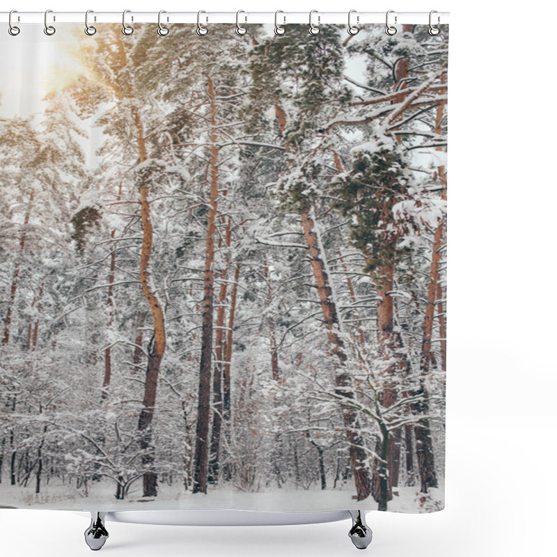 Personality  Scenic View Of Beautiful Snowy Winter Forest And Sunlight Shower Curtains