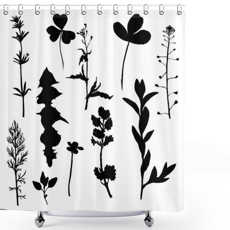 Personality  Vector Silhouettes Of Wild Herbs And Flowers Shower Curtains