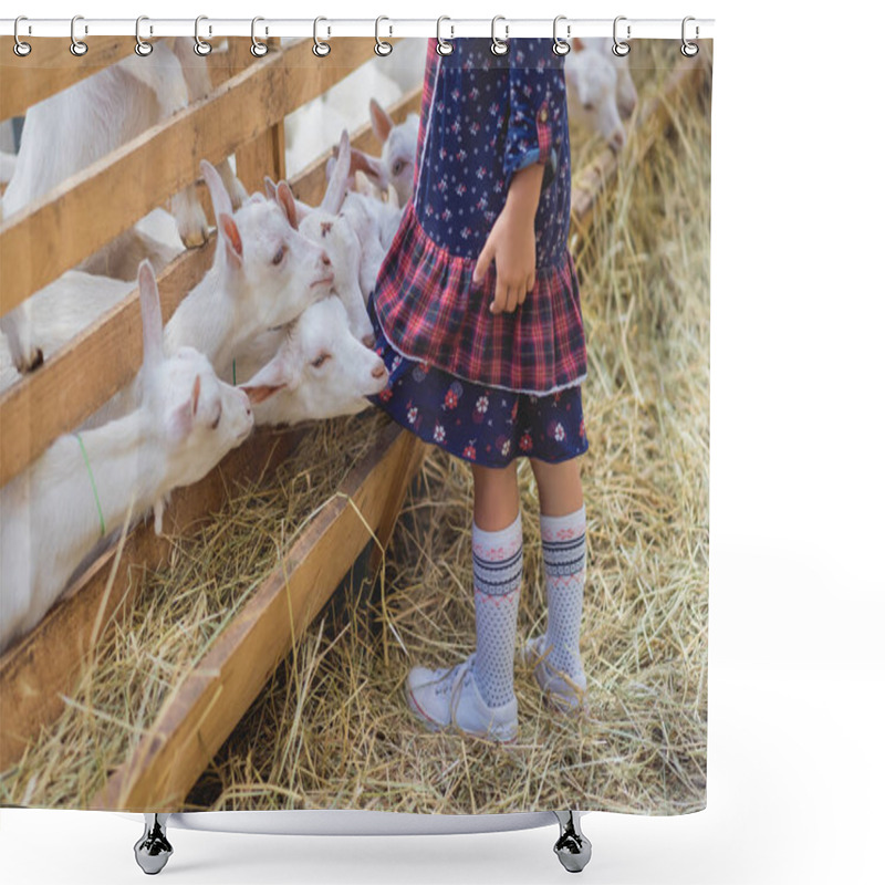 Personality  Cropped Image Of Goats Biting Kids Dress At Farm Shower Curtains