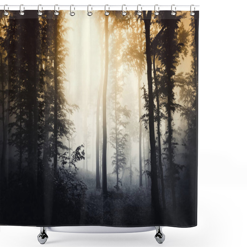 Personality  Sunset Light In Dark Misty Forest Landscape Shower Curtains