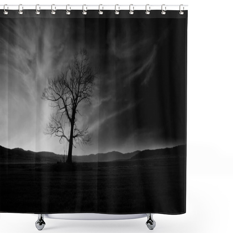 Personality  Bw Spooky Tree Shower Curtains