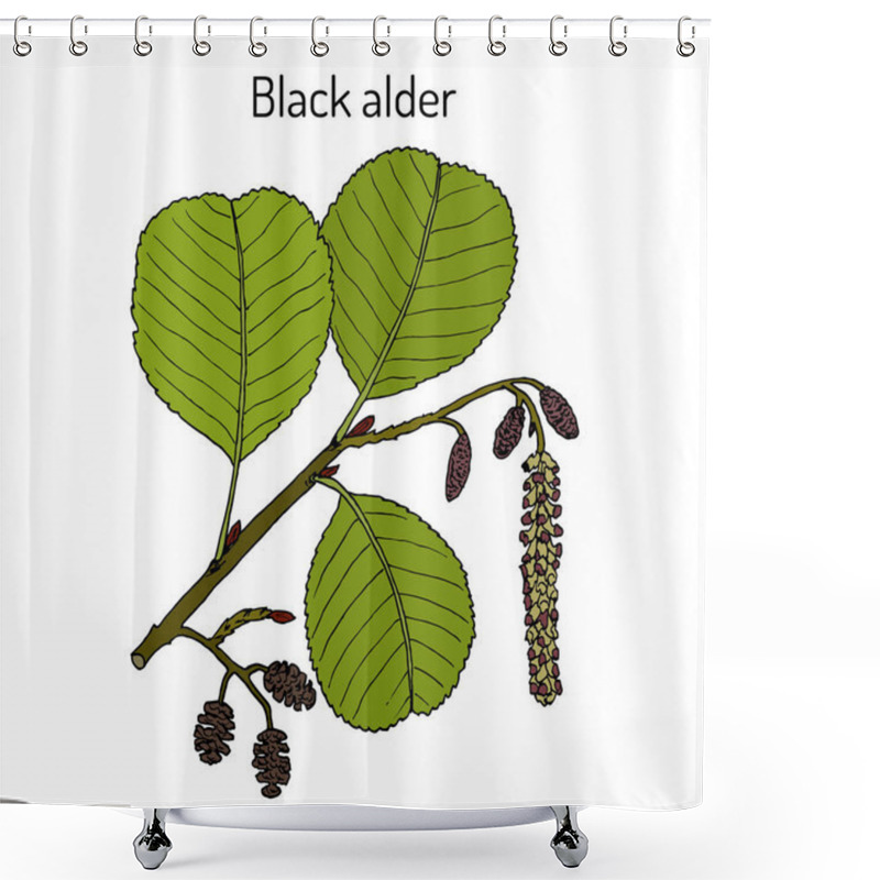 Personality  Black Or European Alder Alnus Glutinosa , Medicinal Plant Shower Curtains