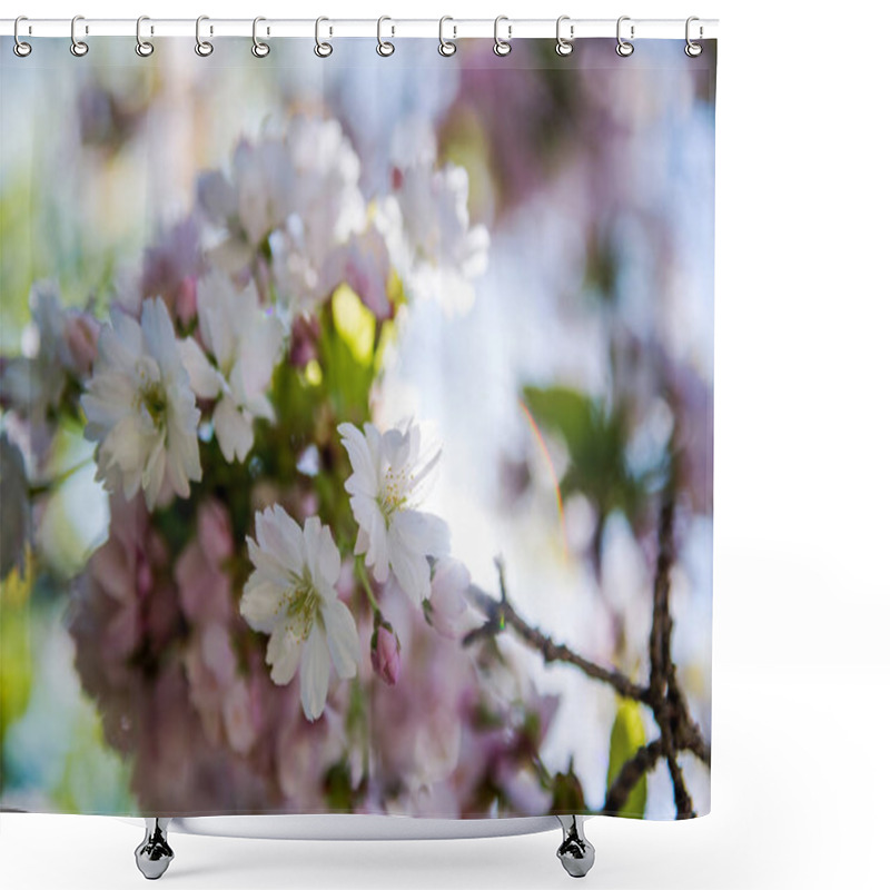 Personality  Selective Focus Of Flowers On Branches Of Cherry Blossom Tree  Shower Curtains