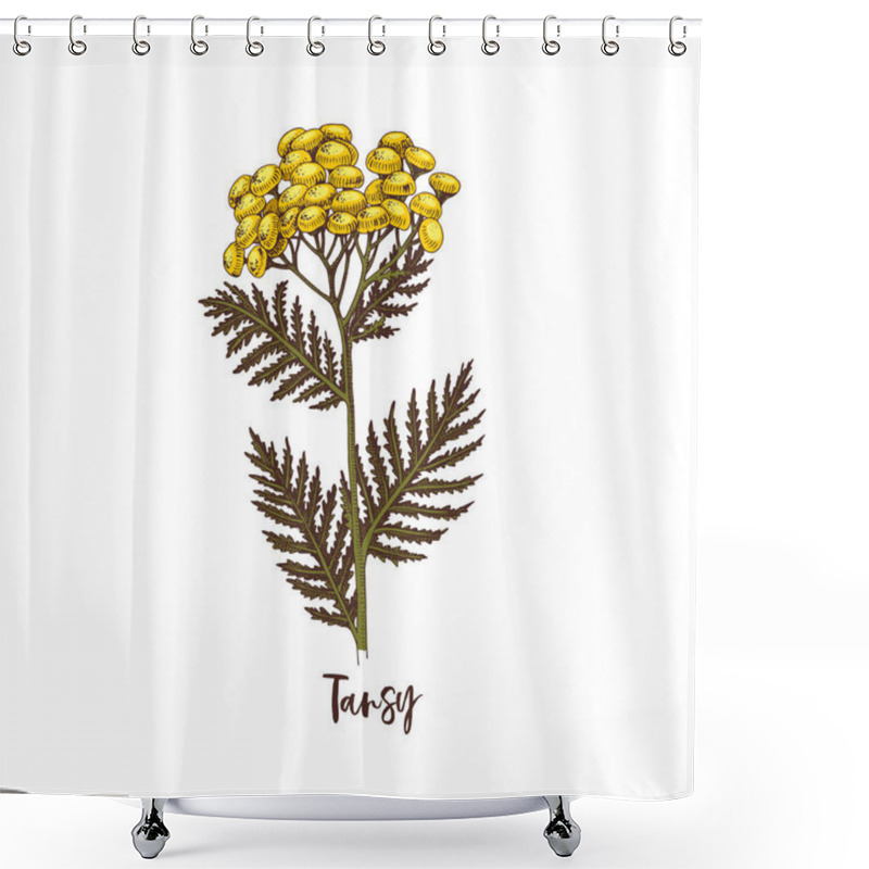 Personality  Branch Of Tansy. Medicinal Herb Shower Curtains