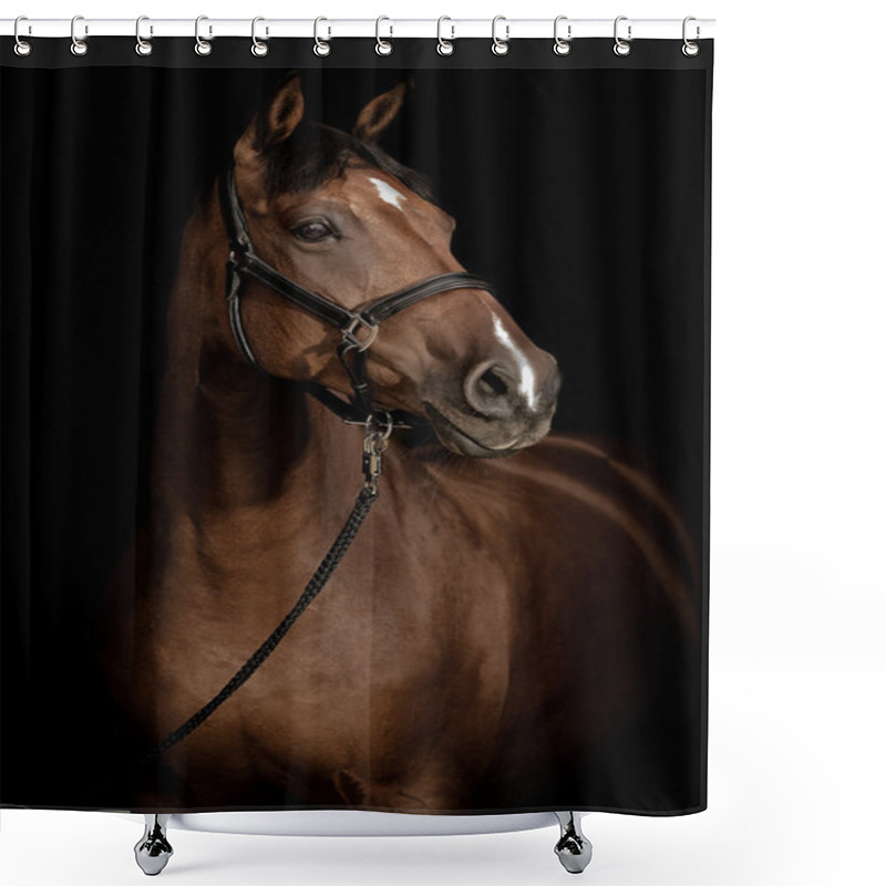 Personality  Horse Portrait Shower Curtains