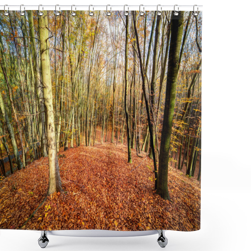 Personality  Autmn Forest Shower Curtains