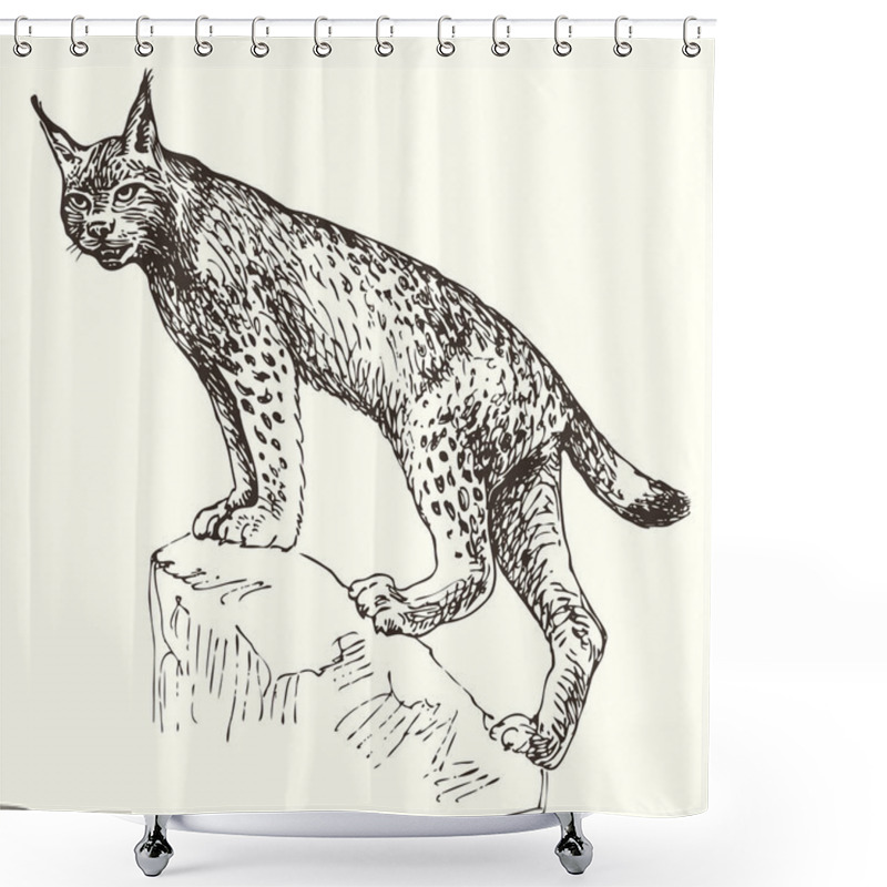 Personality  Vector, Realistic Hand Drawn Sketch Drawing Of Predator Lynx Shower Curtains