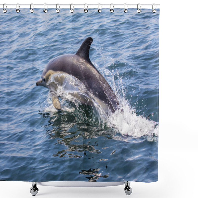 Personality  A Dolphin Swimming Off Of The Coast Of Lagos In The Algarve Region Of Portugal. Shower Curtains