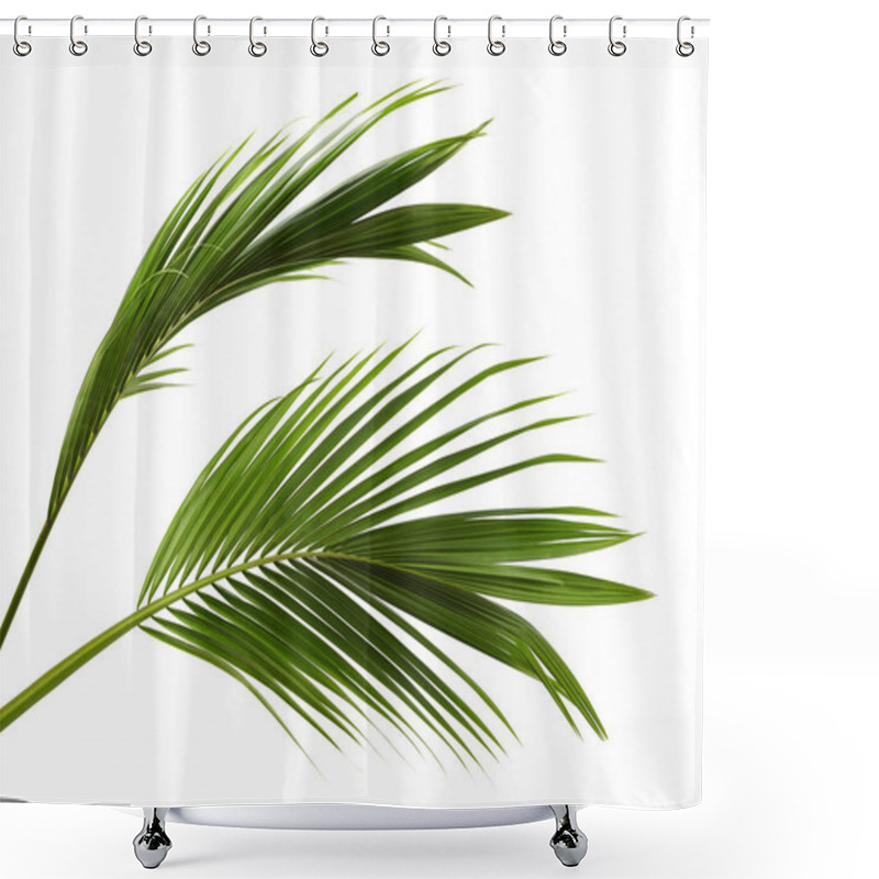 Personality  Coconut Leaves Or Coconut Fronds, Green Plam Leaves, Tropical Foliage Isolated On White Background With Clipping Path Shower Curtains