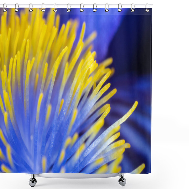 Personality  Yellow Hairs Of Purple Iris, Macro Shower Curtains