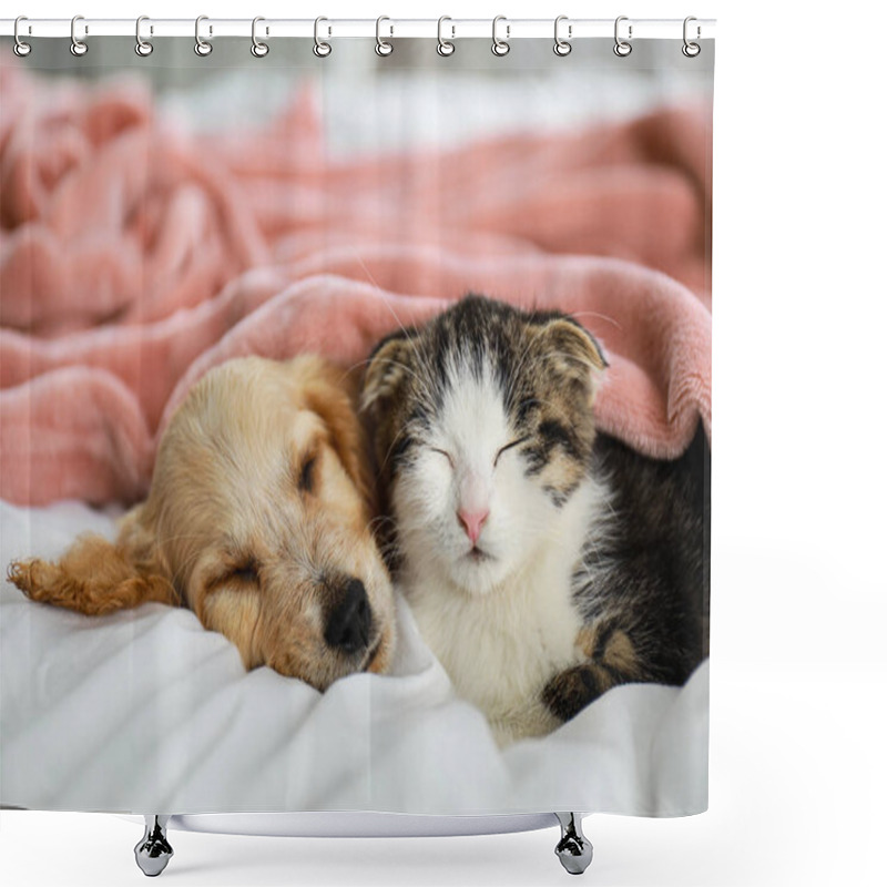 Personality  Adorable Little Kitten And Puppy Sleeping On Bed Indoors Shower Curtains