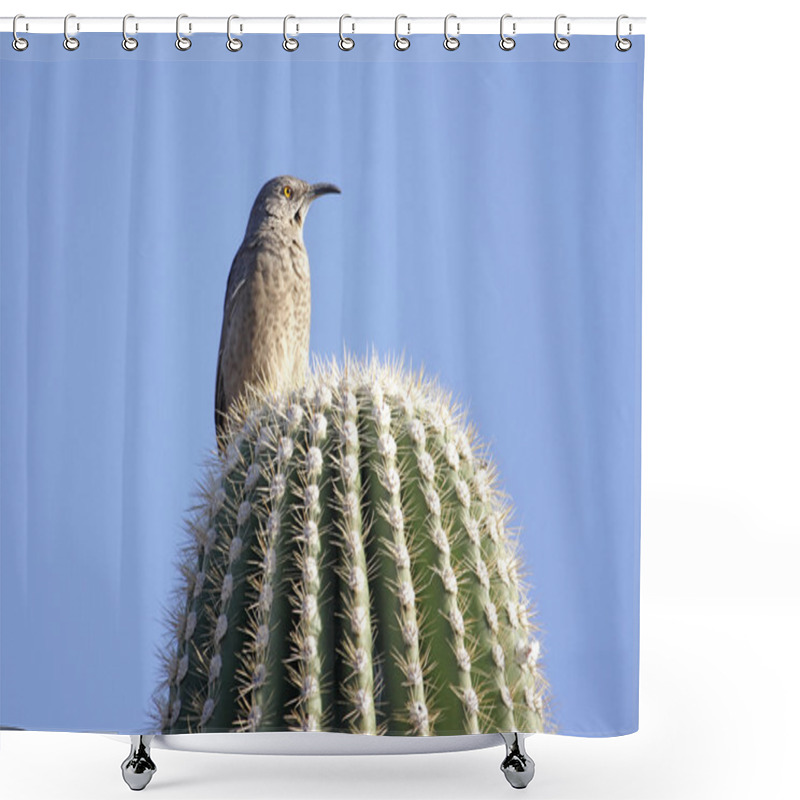 Personality  Curve-billed Thrasher On Cactus Shower Curtains