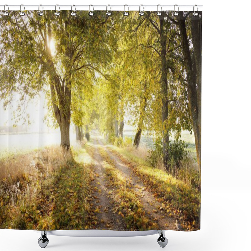 Personality  Single Lane Rural Road (alley) Through The Linden Trees At Sunrise. Golden Sunlight, Sunbeams, Fog, Shadows. Fairy Autumn Forest Scene. Art, Hope, Heaven, Wilderness, Loneliness, Pure Nature, Ecology Shower Curtains