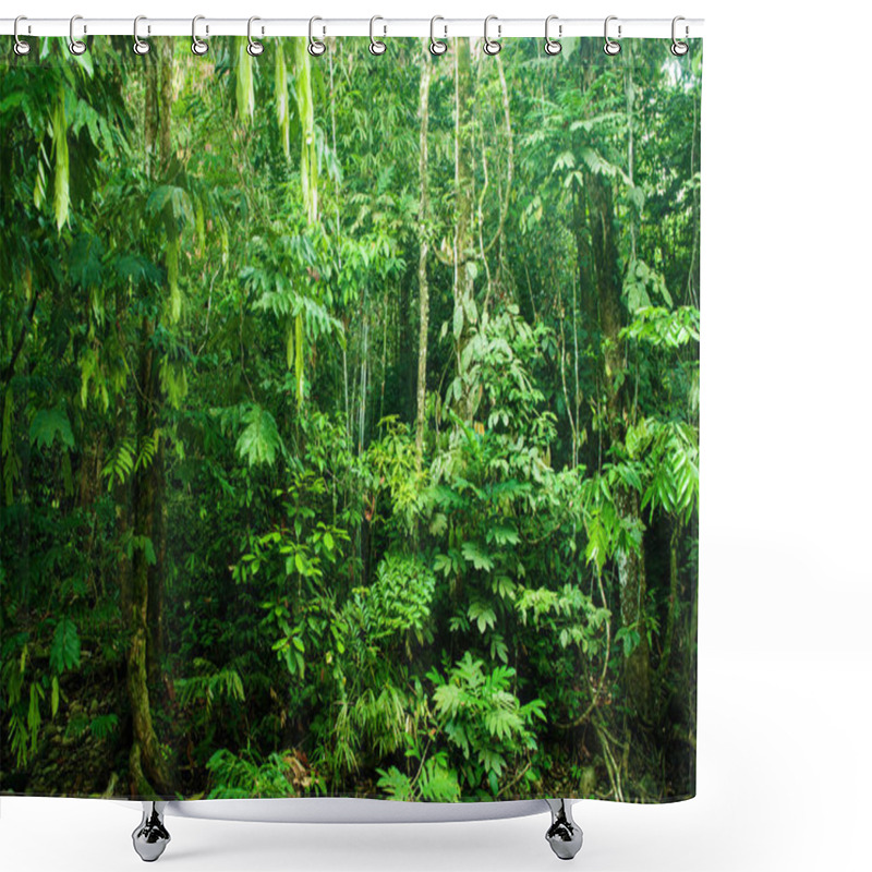 Personality  Incredible Tropical Dense Forest Shower Curtains