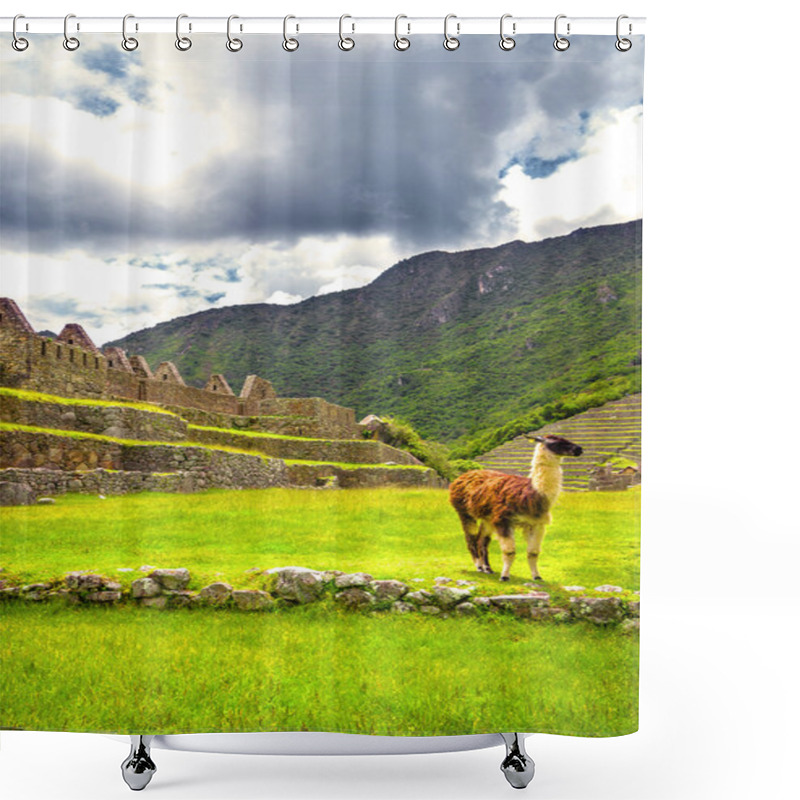 Personality  Inca City Machu Picchu (Peru)  Shower Curtains