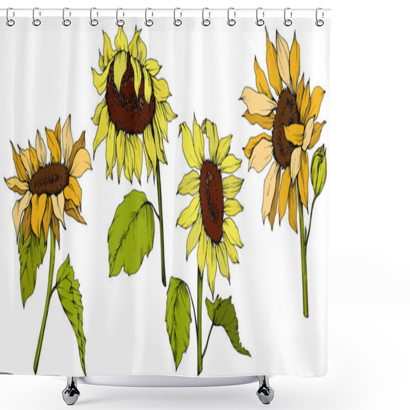 Personality  Vector Sunflower Floral Botanical Flowers. Yellow And Green Engraved Ink Art. Isolated Sunflower Illustration Element. Shower Curtains