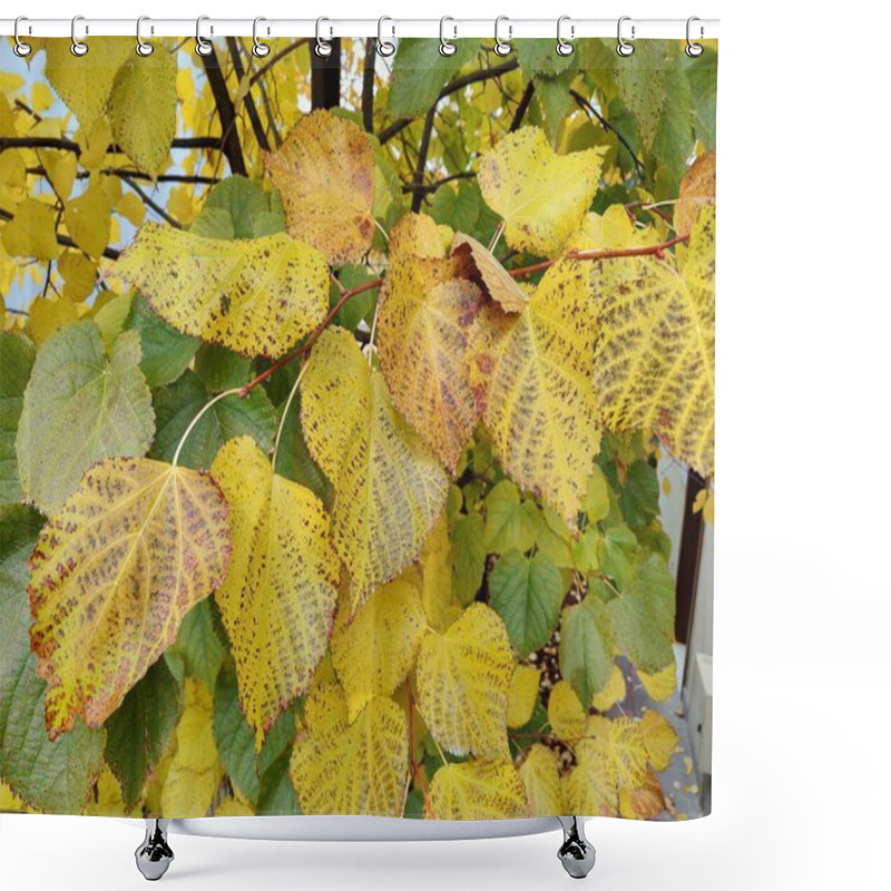 Personality  Golden Autumn Leaves With Dark Speckles, Representing The Passage Of Time And Nature's Imperfections, As A Metaphor For Beauty In Flaws And Seasonal Transformation Amidst The Warm Glow Of Fall Shower Curtains