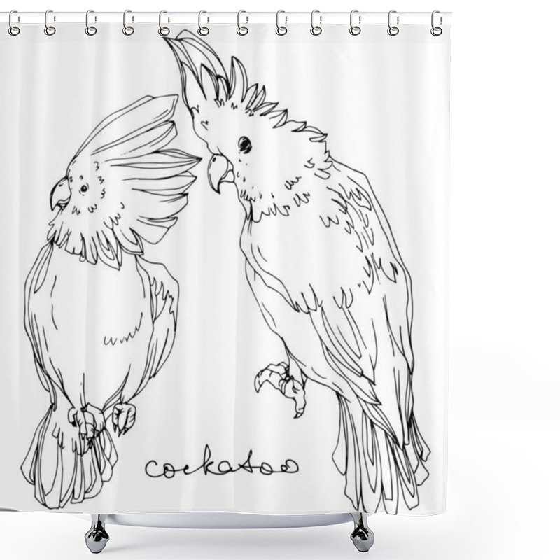 Personality  Vector Sky Bird Cockatoo In A Wildlife. Black And White Engraved Ink Art. Isolated Parrot Illustration Element. Shower Curtains