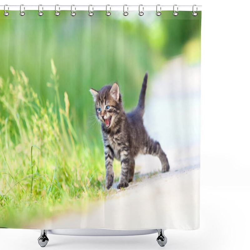 Personality  Little Kitten Staying On The Sandy Road Shower Curtains