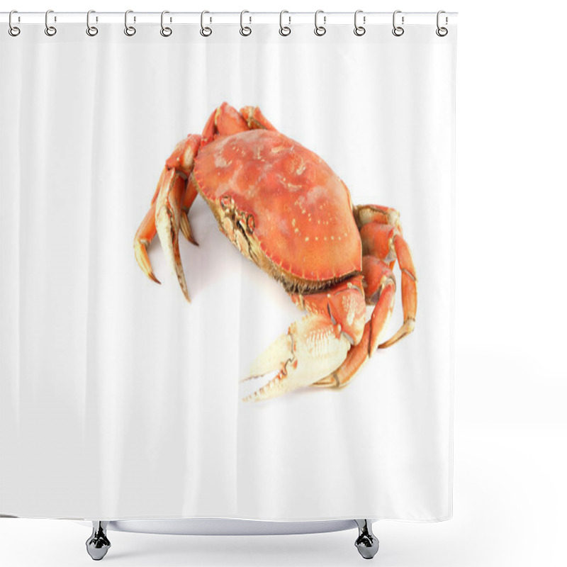 Personality  Dungeness Crab Shower Curtains