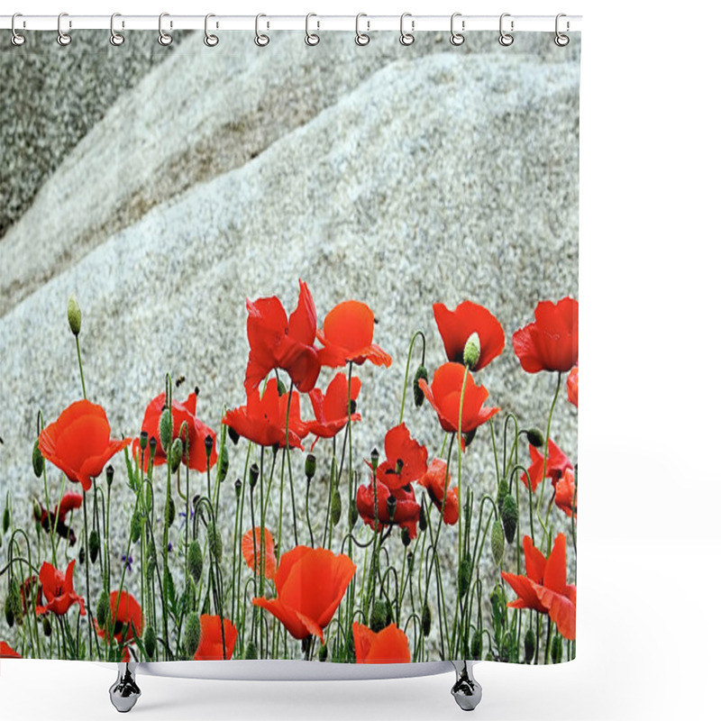 Personality  Desert And Flowers 4 Shower Curtains