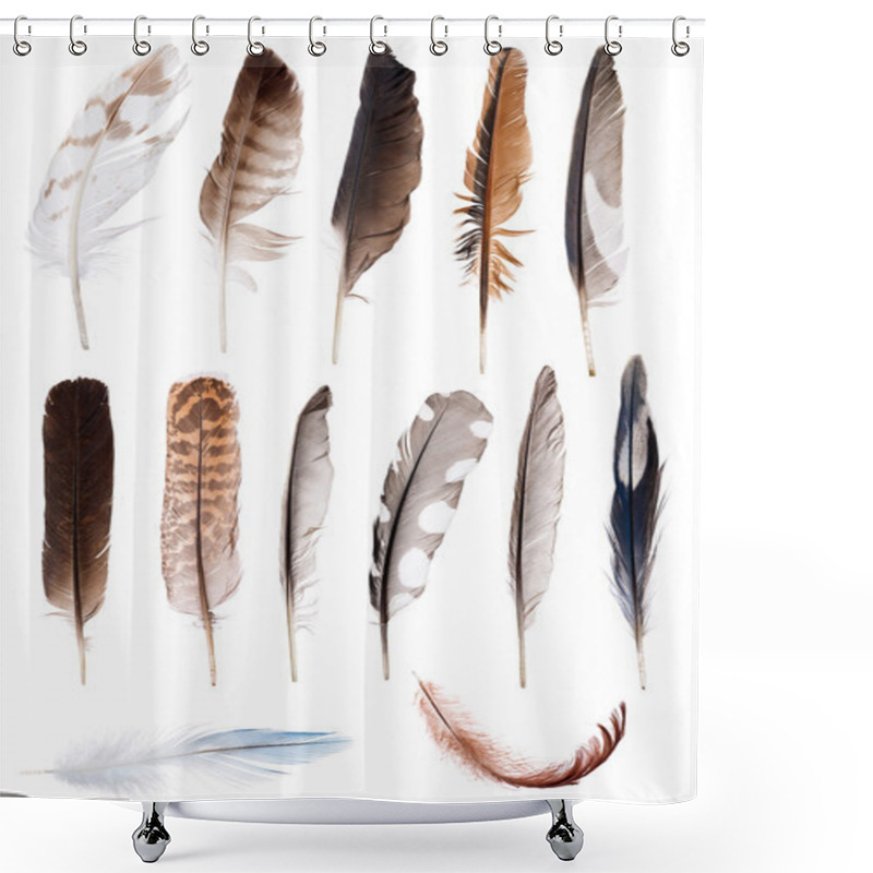 Personality  Thirteen Feathers Isolate On White Shower Curtains