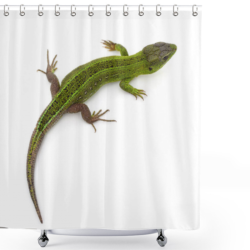 Personality  One Big Green Lizard Isolated On A White Background. Shower Curtains