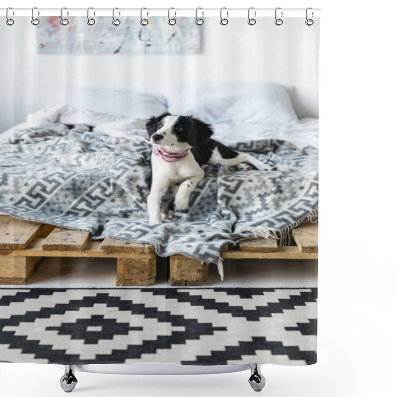 Personality  Little Puppy With Pink Neckpiece Lying On Bed Shower Curtains