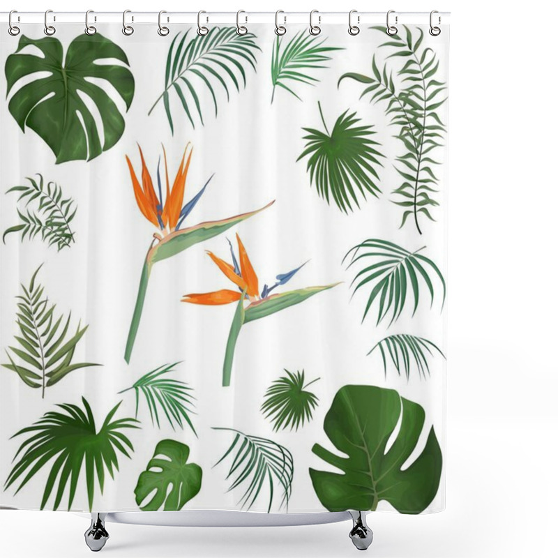 Personality  Large Vector Set Of Tropical Plants And Flowers On A White Background. Strelitzia Plant, Palm Leaves And Other Tropical Plants. . Vector Illustration Shower Curtains