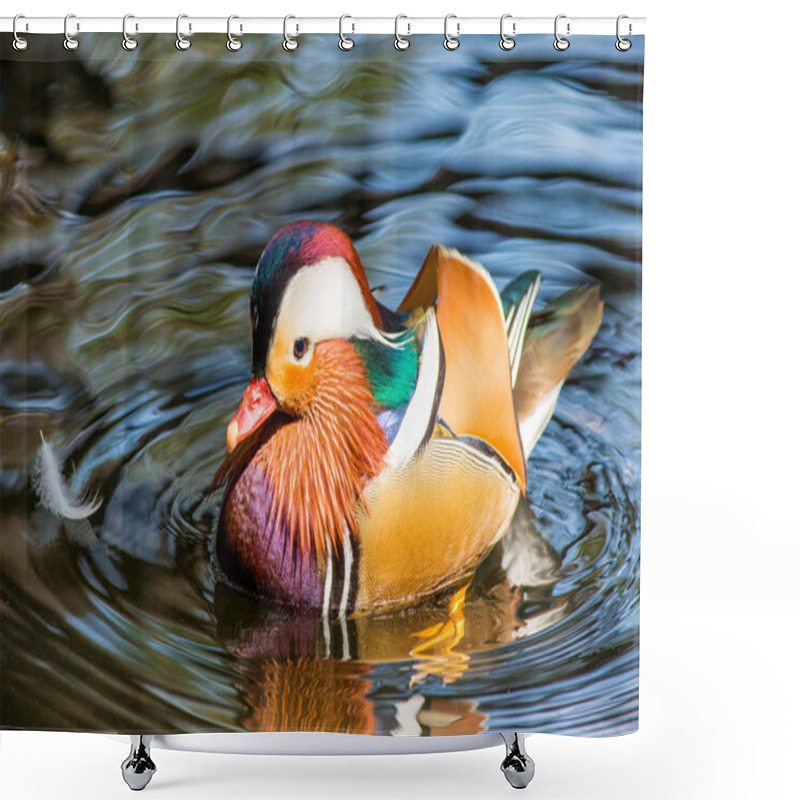 Personality  Mandarin Duck In The Zoo Shower Curtains