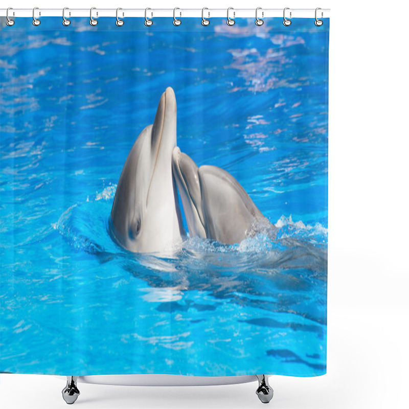 Personality  Dolphins Couple Swimming In Pool Water Shower Curtains