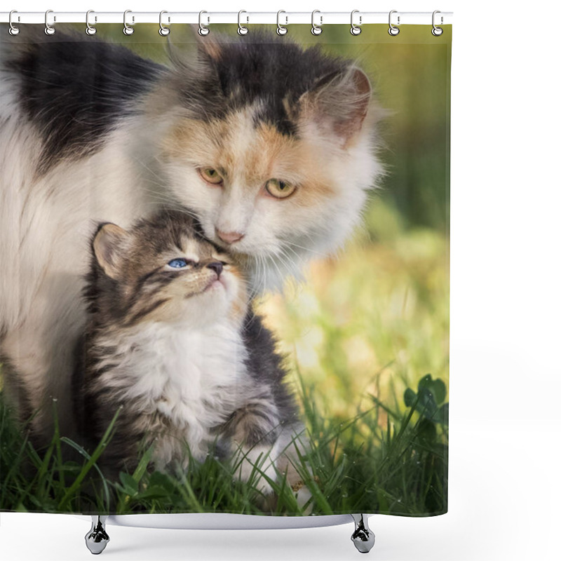 Personality  Cat Mother With Young Little Kitten Sitting In Grass Shower Curtains