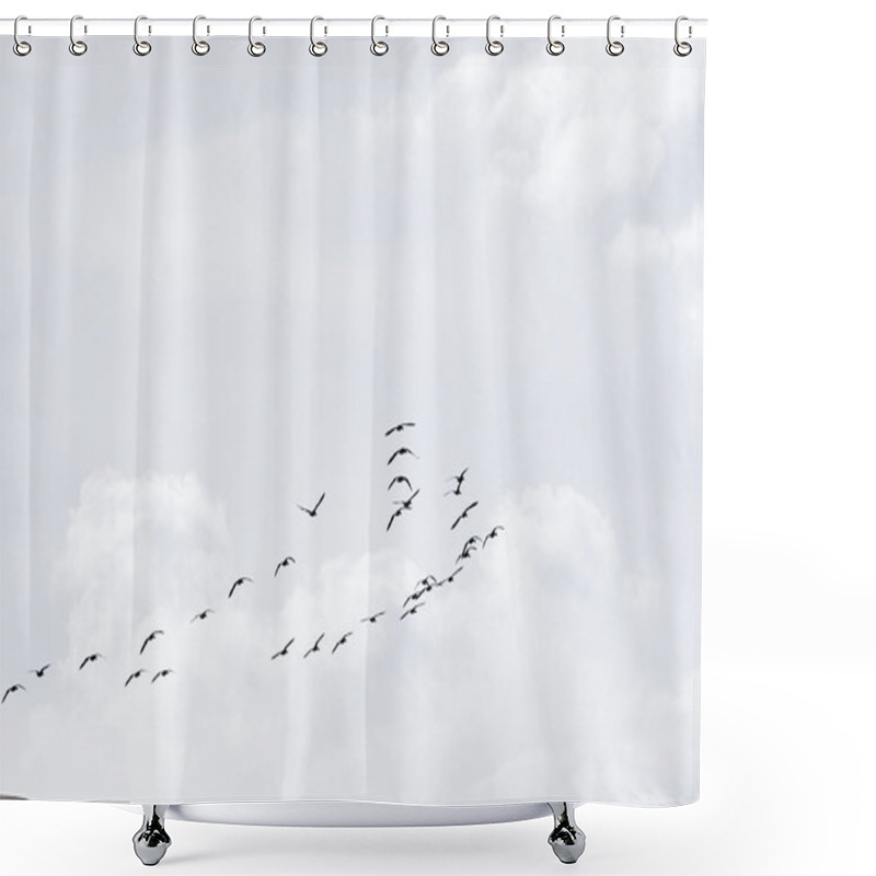 Personality  Flock Of Wild Geese Shower Curtains