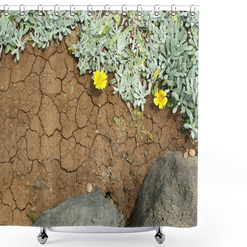 Personality  Close Up Of Volcanic Ground With Creeps With Spontaneous Branching Of Succulent Plant With Yellow Flowers Shower Curtains