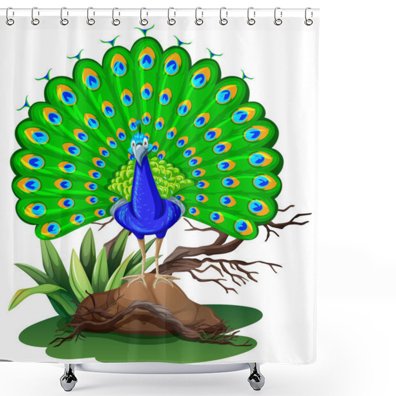 Personality  Wild Peacock Standing On Rock Shower Curtains