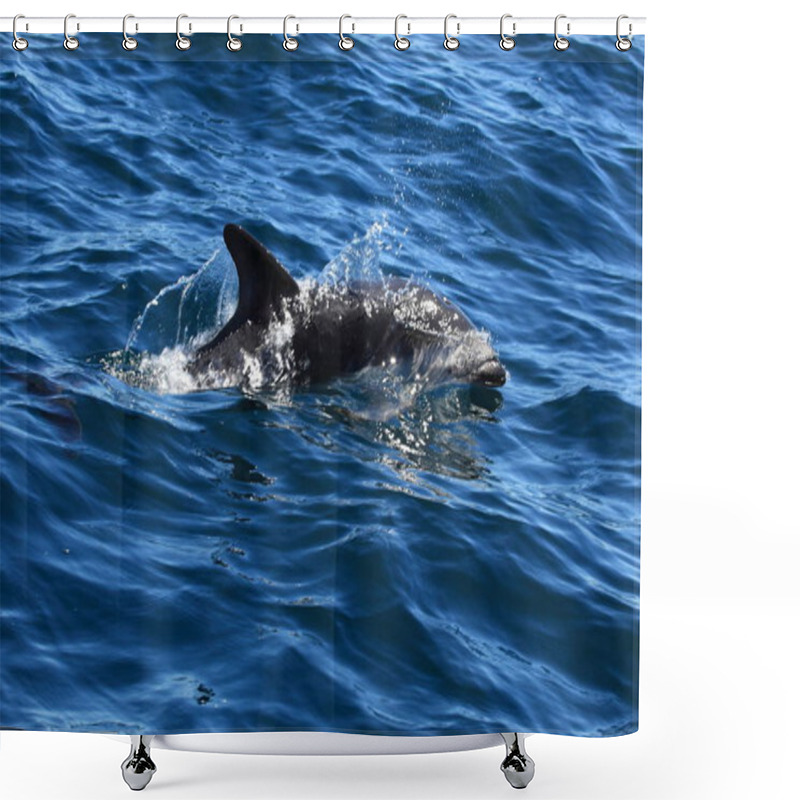 Personality  Dolphin In Blue Sea Water  Shower Curtains