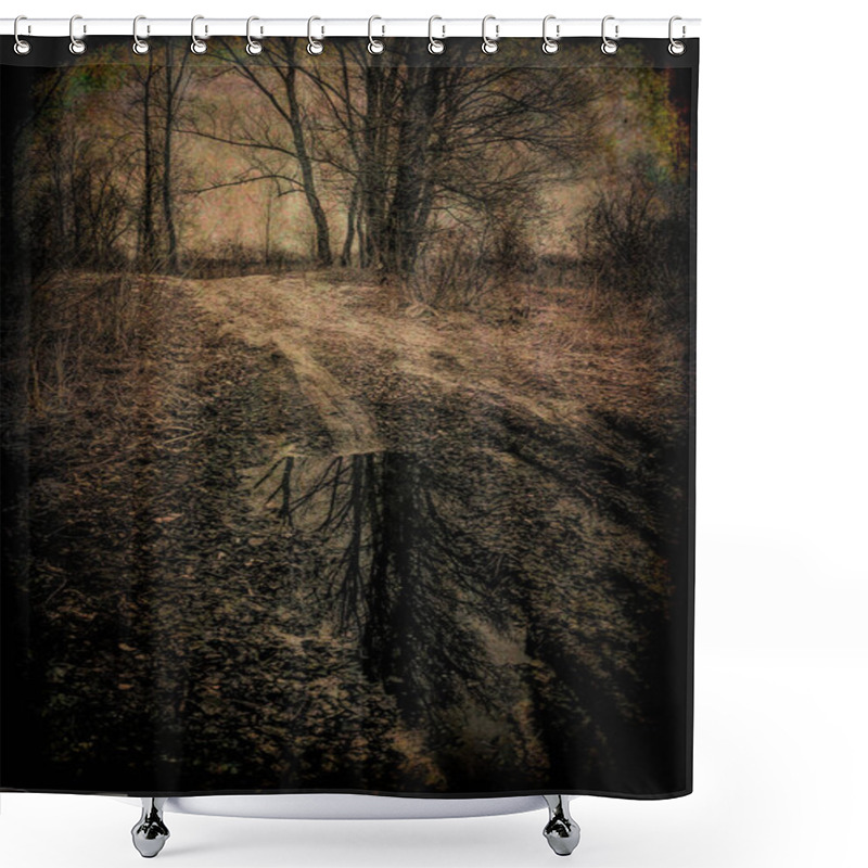 Personality  Misty Mysterious Forest Landscape In Early Spring. Nature Of New England, USA Shower Curtains