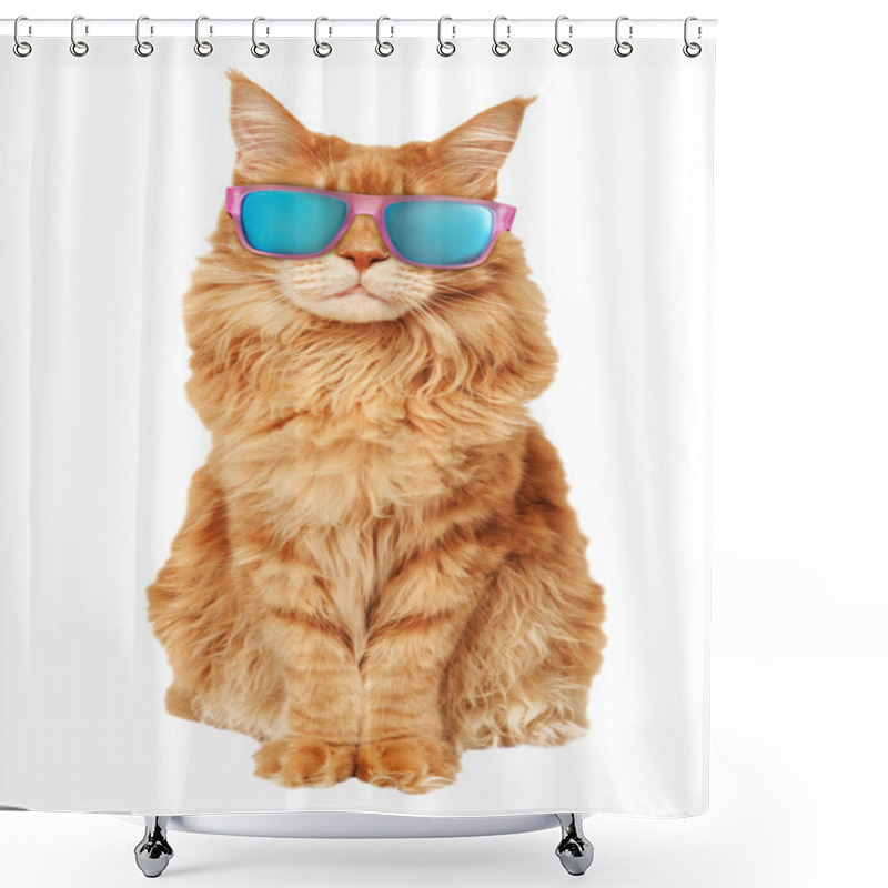 Personality  Maine Coon Cat In Sunglasses Shower Curtains