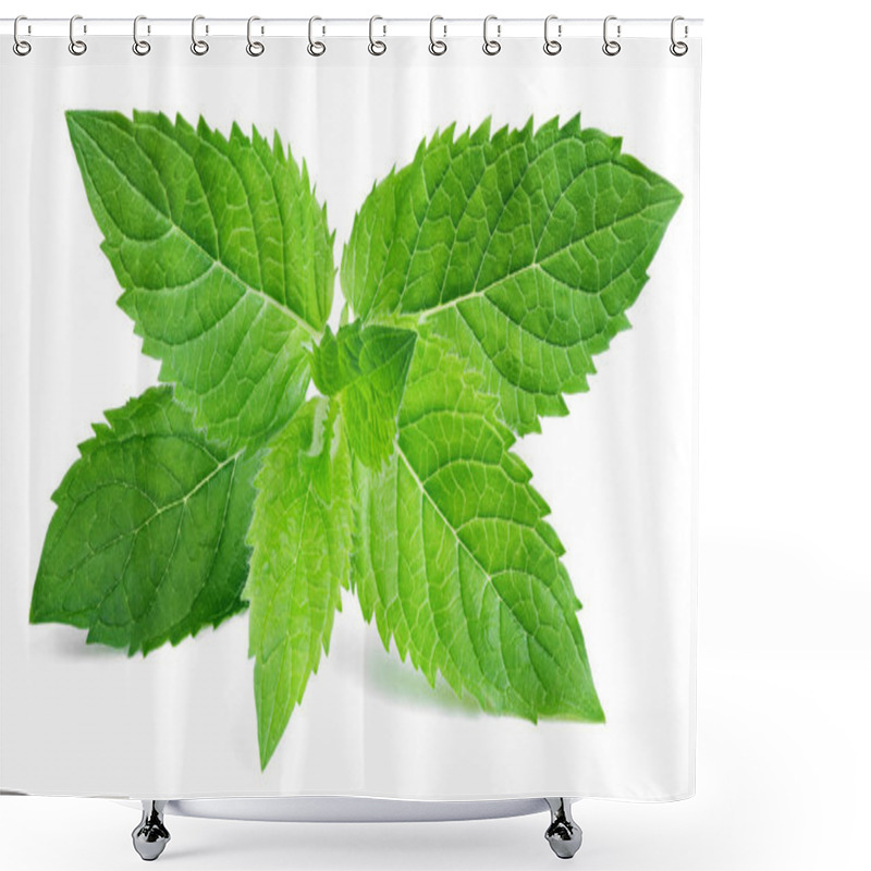 Personality  Fresh Raw Mint Leaves On White Shower Curtains