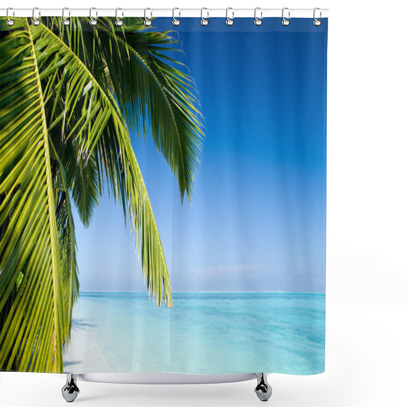 Personality  Palm Tree Leafs On A Tropical Beach Shower Curtains