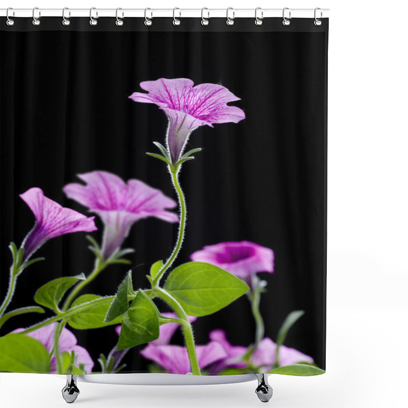 Personality  Bell Flowers Shower Curtains