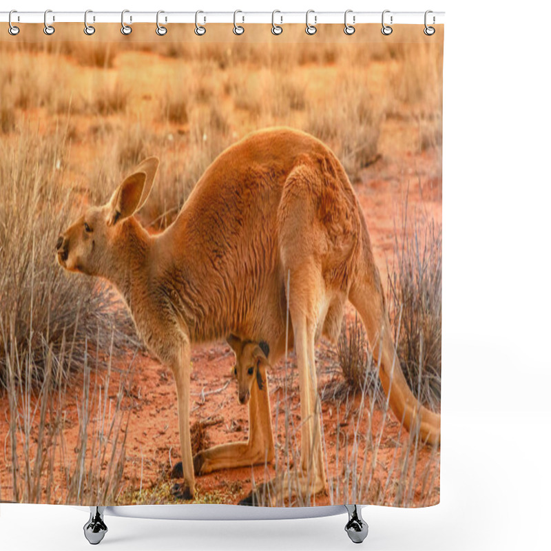 Personality  Kangaroo With A Joey Australia Shower Curtains