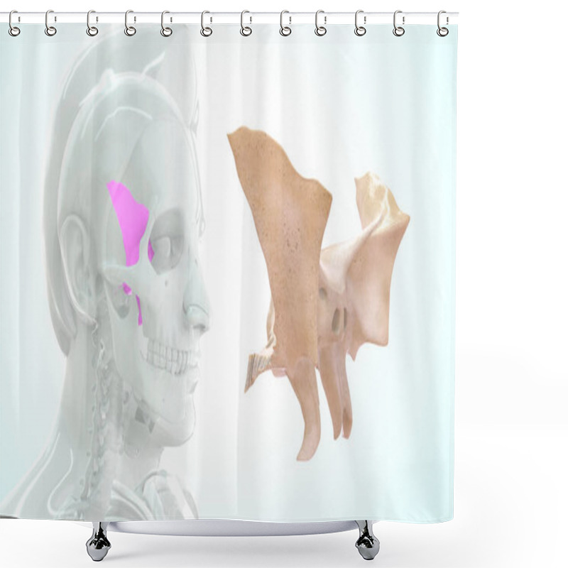 Personality  Human  Bone Anatomy 3d Illustration Shower Curtains