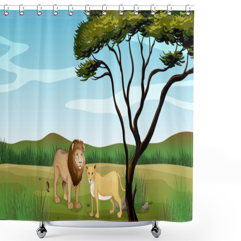 Personality  A Lion And A Tiger Shower Curtains