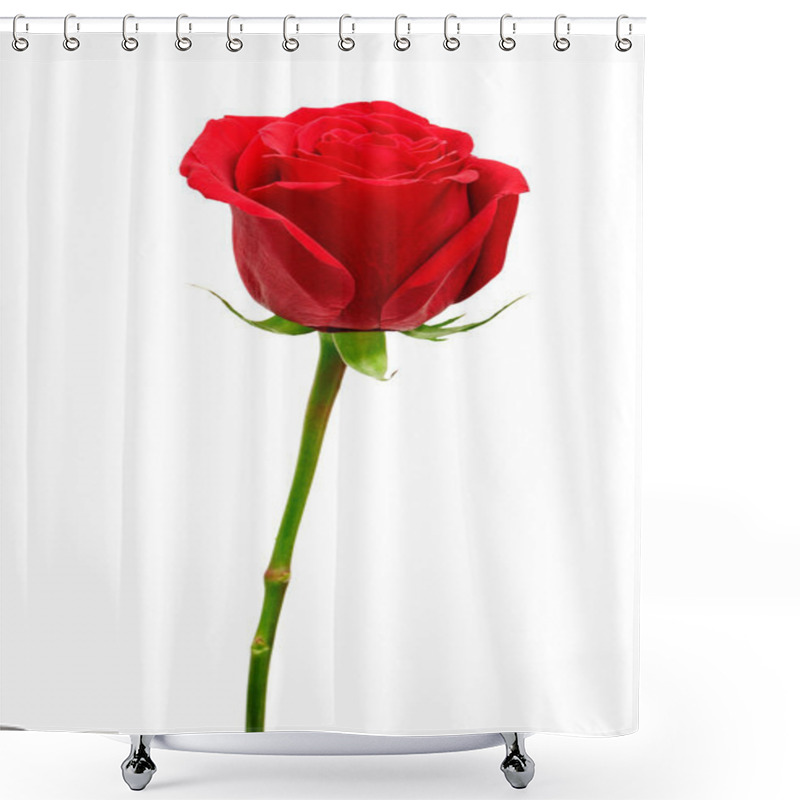 Personality  Beautiful Red Rose Shower Curtains