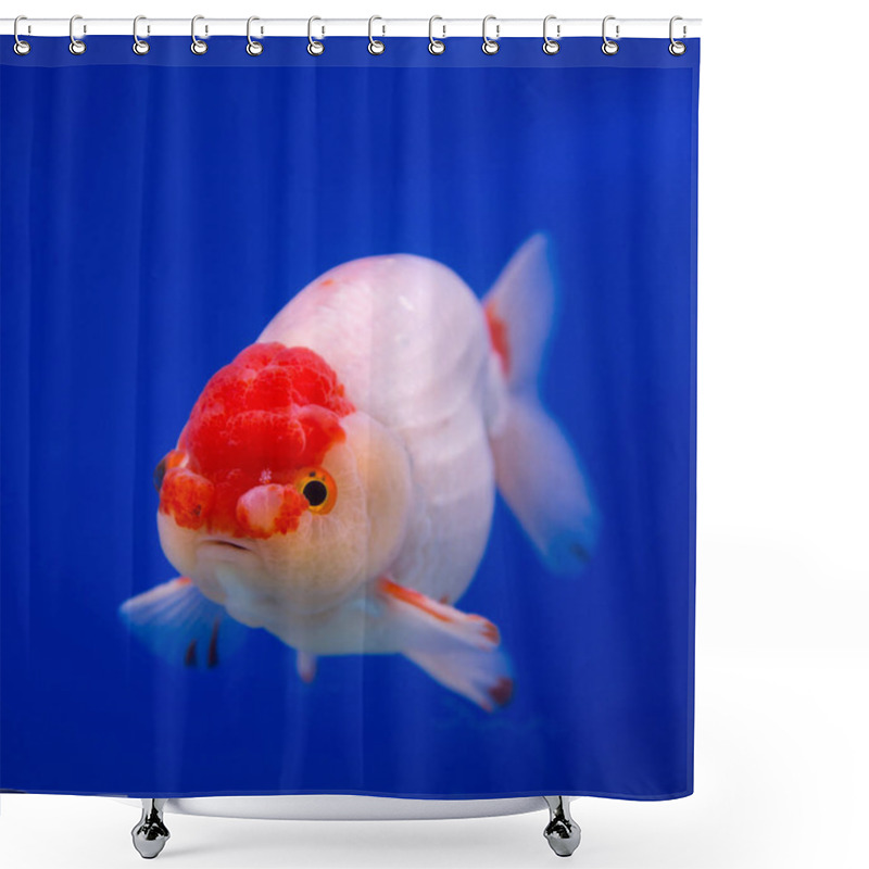 Personality  Goldfish In A Blue Background Shower Curtains